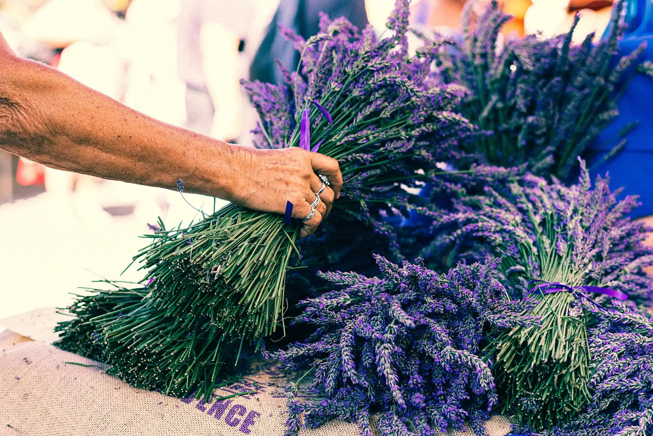 Women grabbing lavender at a french market.  