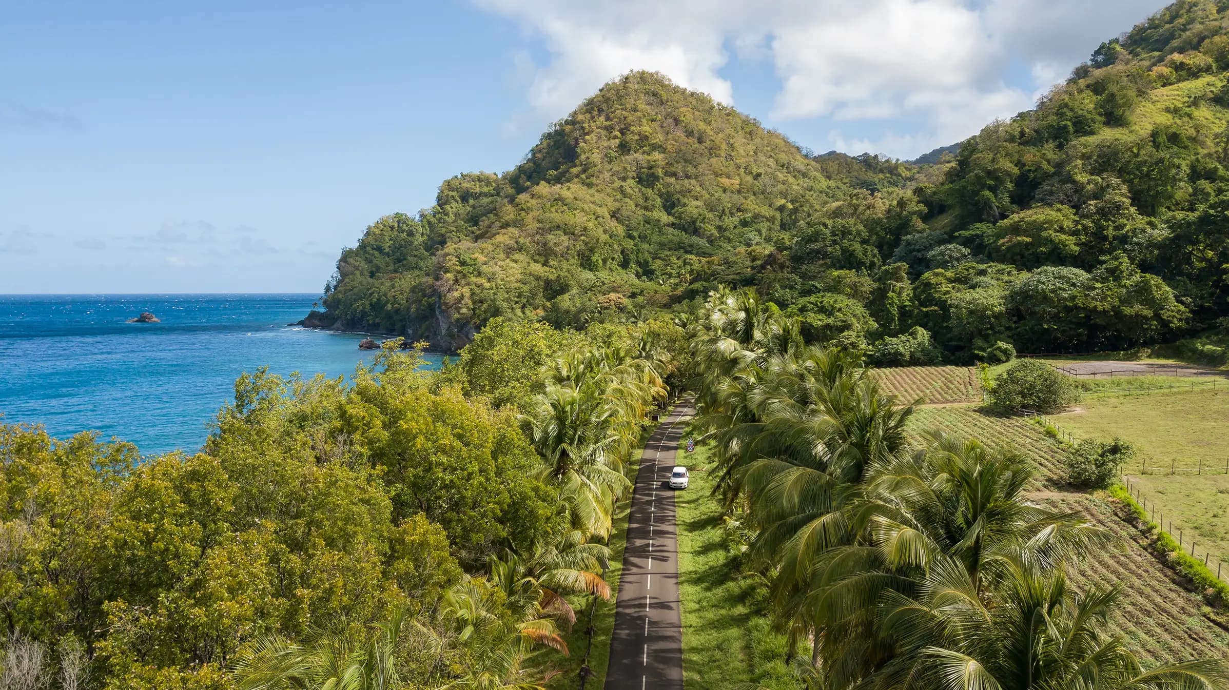 Aerial view of the roads along the sea in the Caribbean island of Martinique