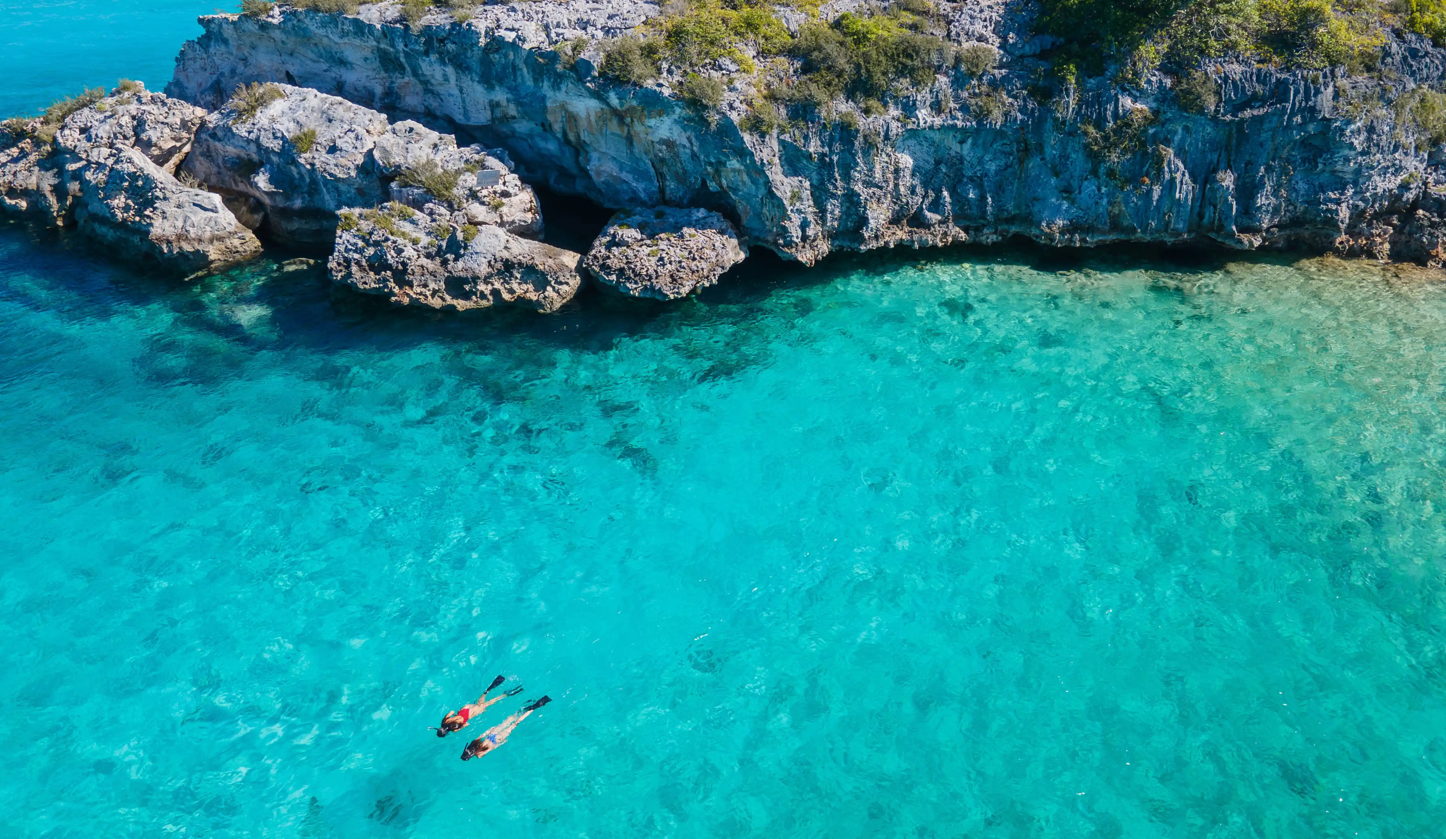 Aerial view of people snorkeling